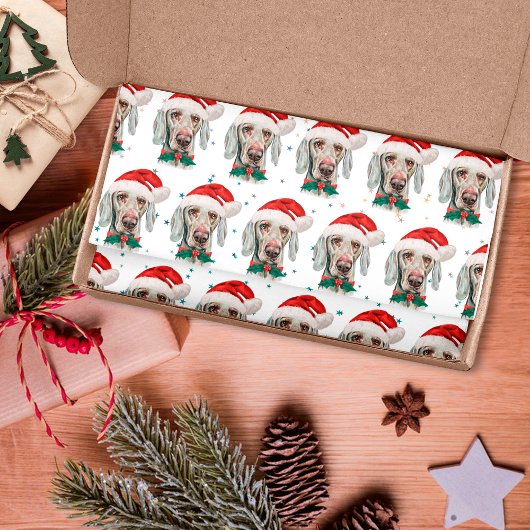 Weimaraner Dog Breed Christmas Stars Tissuepapier