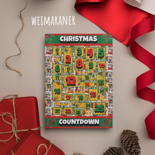 Weimaraner Dog Counting Kerstmis Advent Calendar Feestdagenkaart