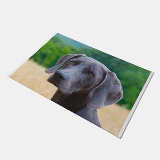 Weimaraner Dog. Deurmat (Schuin)
