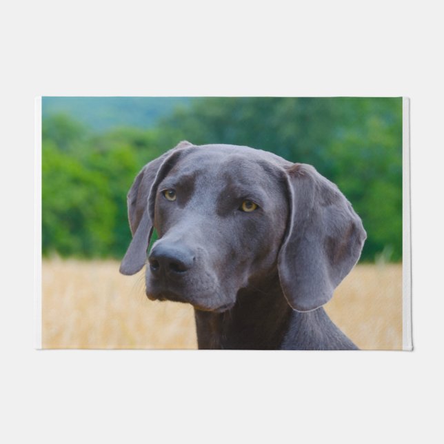 Weimaraner Dog. Deurmat (Voorkant)
