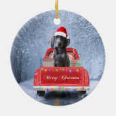 Weimaraner Dog in Snow, dat in kerstmis zit Keramisch Ornament (Achterkant)