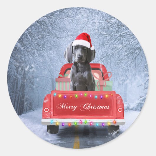 Weimaraner Dog in Snow, dat in kerstmis zit Ronde Sticker (Voorkant)