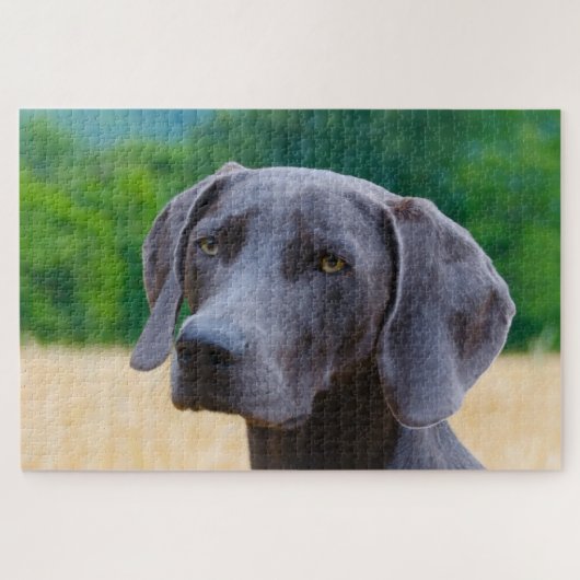Weimaraner Dog Jigsaws. Legpuzzel (Horizontaal)