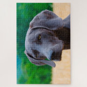 Weimaraner Dog Jigsaws. Legpuzzel (Verticaal)