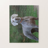 Weimaraner Dog Legpuzzel (Verticaal)