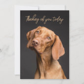 Weimaraner Dog Thinking Of You Kaart (Voorkant)