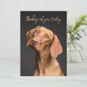 Weimaraner Dog Thinking Of You Kaart (Staand voorkant)