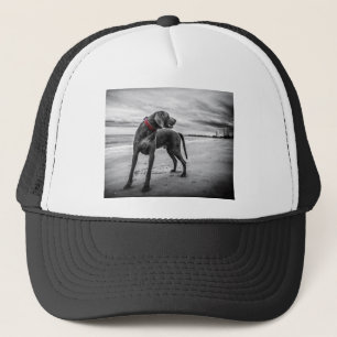 Weimaraner Dog Trucker Pet
