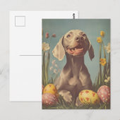 Weimaraner Easter Briefkaart (Voorkant / Achterkant)