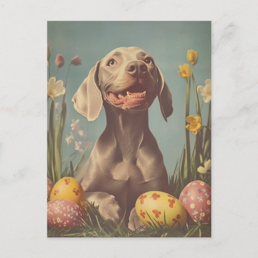 Weimaraner Easter Briefkaart (Voorkant)