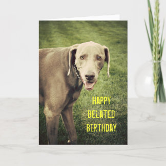 Weimaraner Funny Belated Birthday Card Kaart