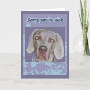 Weimaraner Get Well Kaart