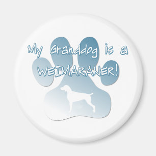 Weimaraner Granddog Magneet