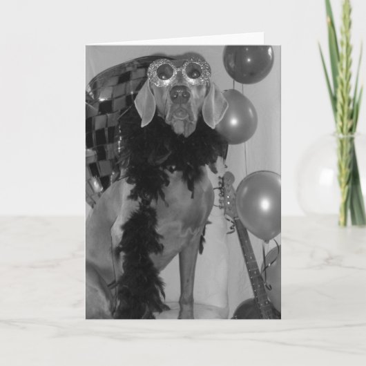 Weimaraner Greetings Card Kaart (Voorkant)