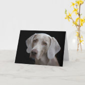 Weimaraner Hond Blank Kaart  (Gele Bloem)