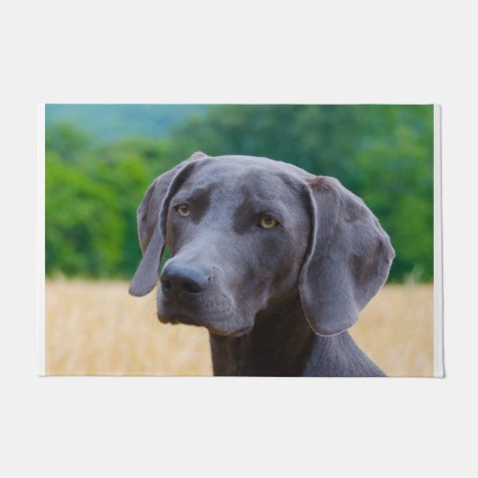 Weimaraner hond. deurmat (Voorkant)