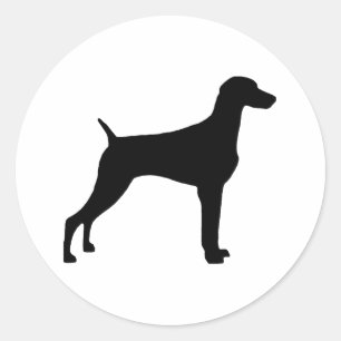 Weimaraner Hond (in zwart) Ronde Sticker