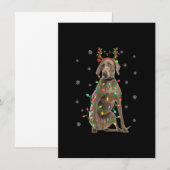 Weimaraner hond Xmas verlichting rendier Weimarane Kaart (Voorkant / Achterkant)