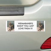 WEIMARANER HOU NIET ALLEEN VAN HEN BUMPERSTICKER (Op auto)