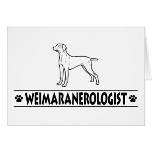 Weimaraner humoristique