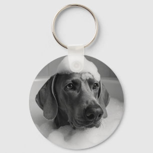 Weimaraner in bad met bellen op zijn hoofd sleutelhanger