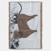 Weimaraner in de winter deken (Voorkant Verticaal)