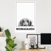Weimaraner in een doos Poster (Thuiskantoor)