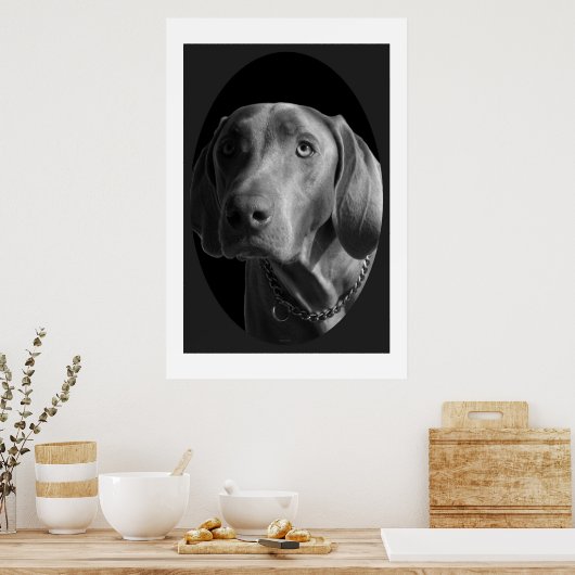 Weimaraner - Intense (zwart-wit) Poster (Keuken)