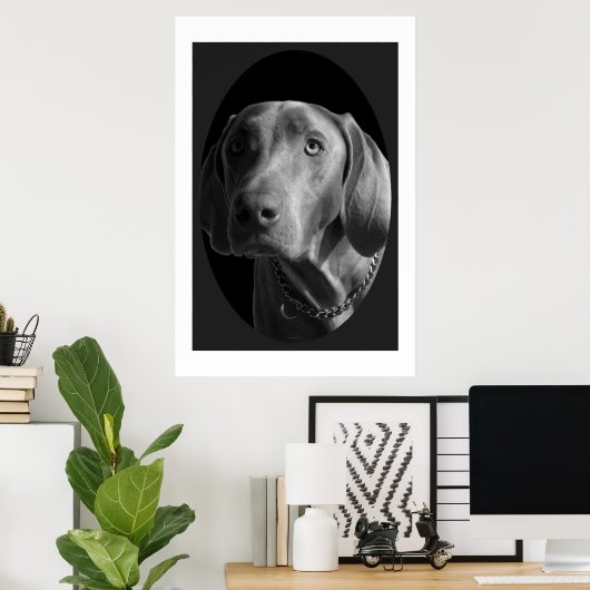 Weimaraner - Intense (zwart-wit) Poster (Thuiskantoor)