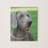 Weimaraner Legpuzzel (Verticaal)