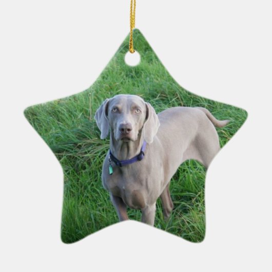 Weimaraner Lovers Ornament (Voorkant)
