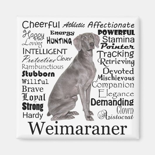 Weimaraner Magnet Magneet (Voorkant)