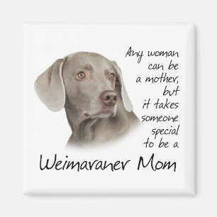 Weimaraner - Magnet maman
