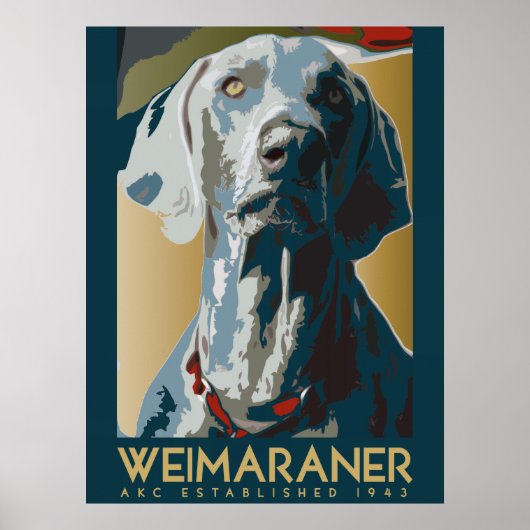 Weimaraner Nation : AKC Weimaraner Poster (Voorkant)