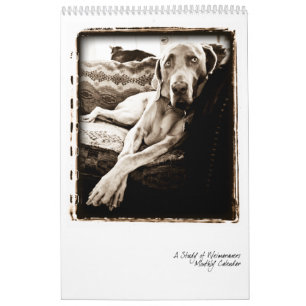 Weimaraner Nation : Een onderzoek van Weimaraners Kalender