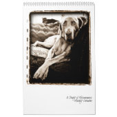 Weimaraner Nation : Een onderzoek van Weimaraners Kalender (Hoes)