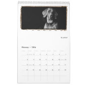 Weimaraner Nation : Een onderzoek van Weimaraners Kalender (Feb 2026)