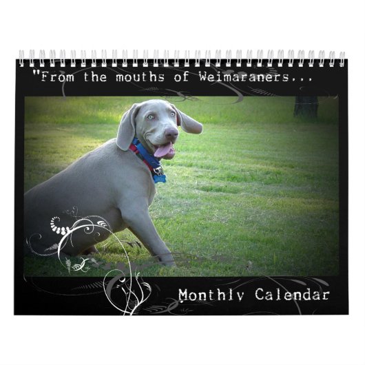 Weimaraner Nation : Quotentieregeling Kalender (Hoes)