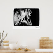 Weimaraner Nation: "The Grey Ghost" Print (Keuken)