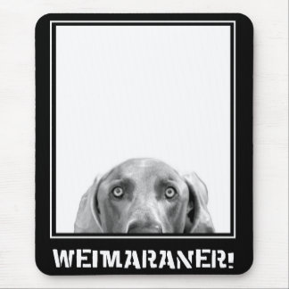 Weimaraner Nation : Weimaraner in een doos. Muismat