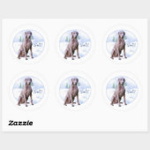 Weimaraner Noel - Sticker (Vel)