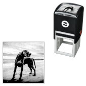 weimaraner-on strand zelfinktende stempel (In situ)