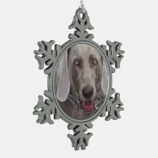 Weimaraner - Ornement de flocon de neige (Gauche)