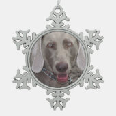 Weimaraner - Ornement de flocon de neige (Devant)