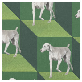 Weimaraner over groene kubussen stof