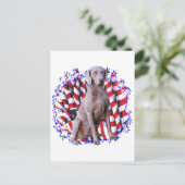 Weimaraner Patriot Briefkaart (Staand voorkant)