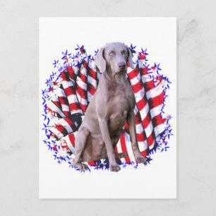 Weimaraner Patriot Briefkaart