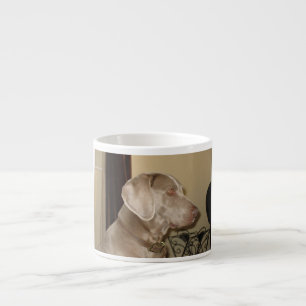 weimaraner.png espresso kop