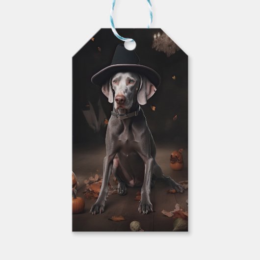 Weimaraner pompoenen Halloween eng Cadeaulabel (Voorkant)