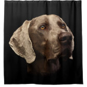 Weimaraner Portrait Douchegordijn (Voorkant)